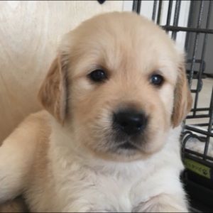 Meet your Posher, Jen